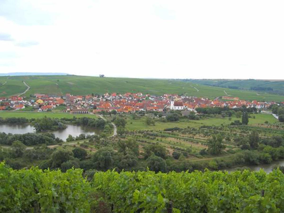 Appartamento Ferien- Und Winzerhof Ute Braun Nordheim am Main Esterno foto