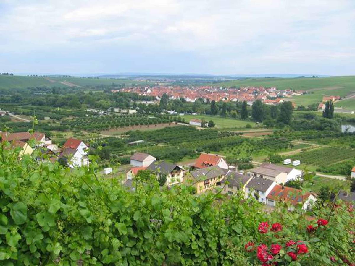 Appartamento Ferien- Und Winzerhof Ute Braun Nordheim am Main Esterno foto